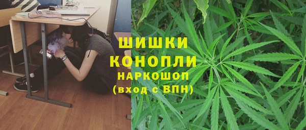 ГАЛЛЮЦИНОГЕННЫЕ ГРИБЫ Ленинск-Кузнецкий
