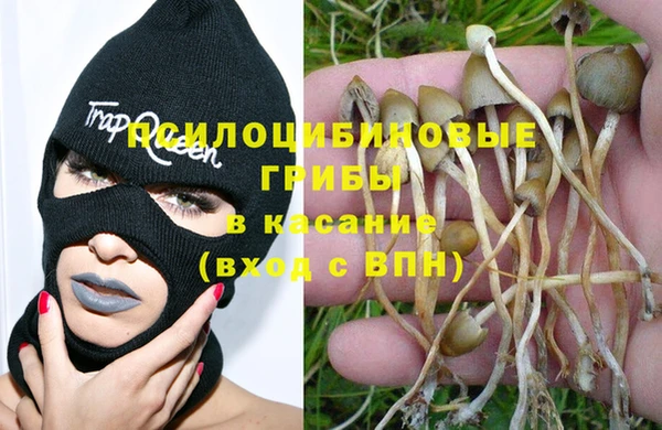каннабис Кодинск