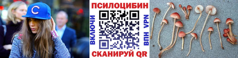 Псилоцибиновые грибы прущие грибы  где купить   Сорочинск 