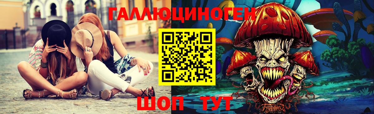 Псилоцибиновые грибы Psilocybe  Сорочинск 